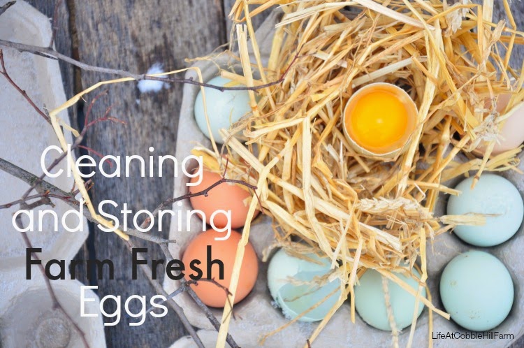 Chicken Keeping: Cleaning and Storing Your Farm Fresh Eggs